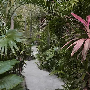 Hotel Boutique Terranova, Tulum Pueblo